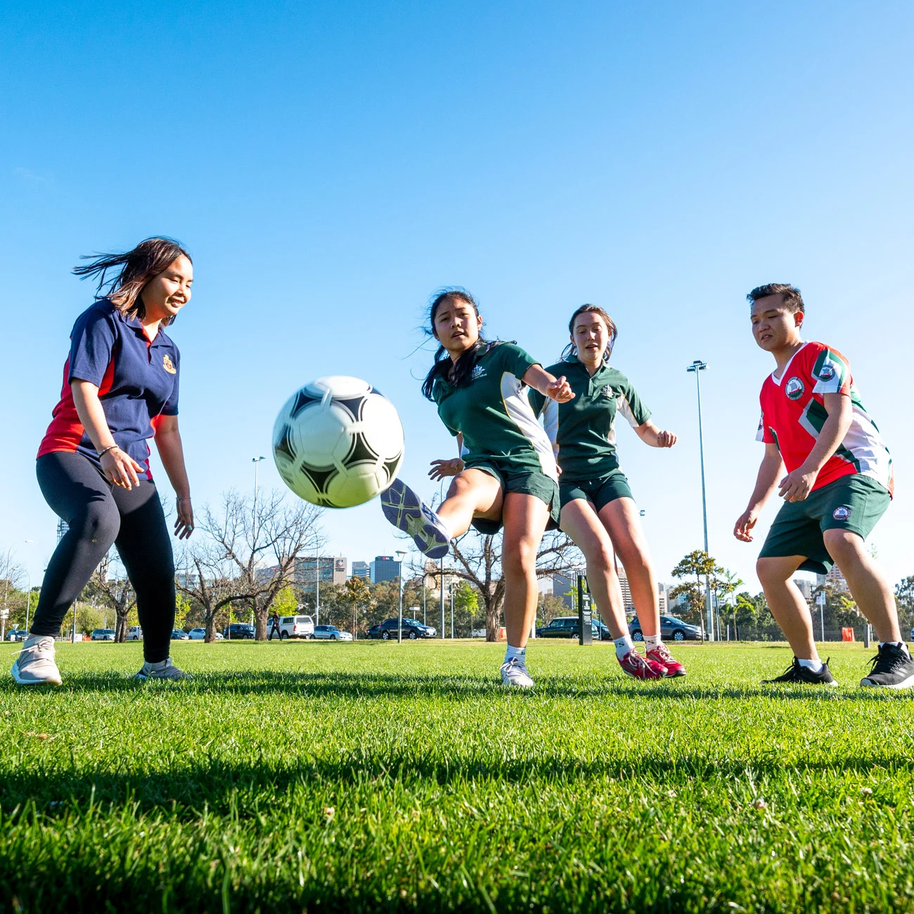 与主力球员 与主力球员