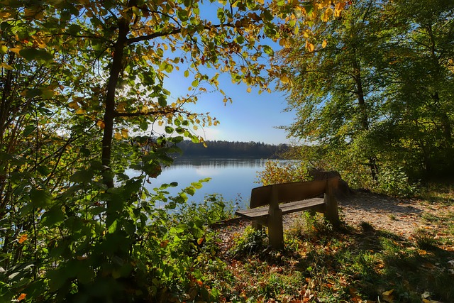 虽然瓜迪奥 虽然瓜迪奥